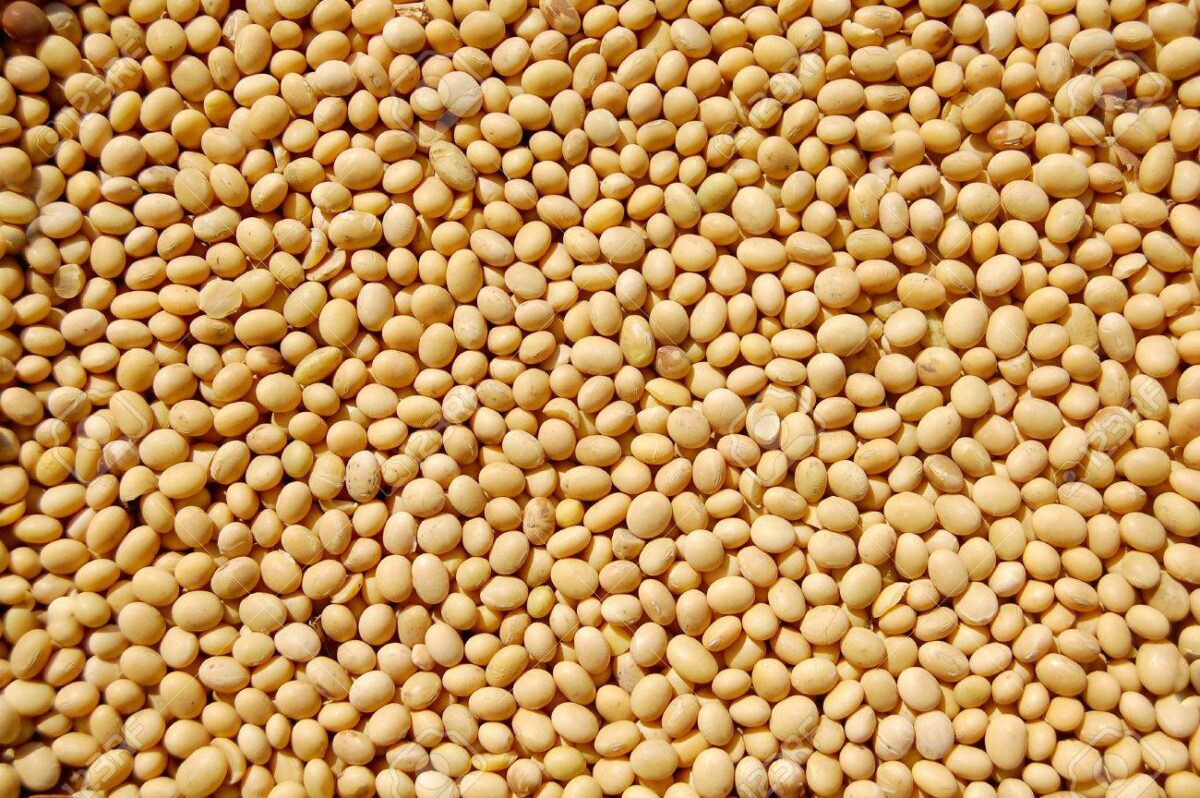 Au Bénin, l'exportation des noix brutes d cajou du soja grain est interdite depuis le 1er avril 2024. A travers un communiqué en date du 22 avril 2024, le ministère de l'Industrie et du commerce fait le rappel aux acteurs notamment les exportateurs, négociants et commerçants.